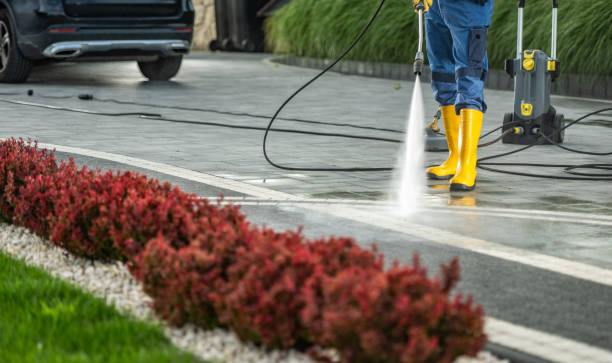 Best Exterior Home Cleaning  in Tariffville, CT